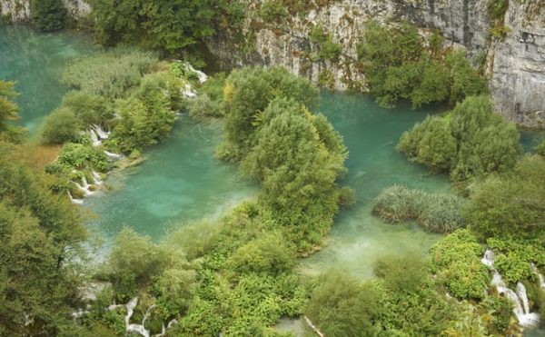 Did Humans Multiply Before The Fall?